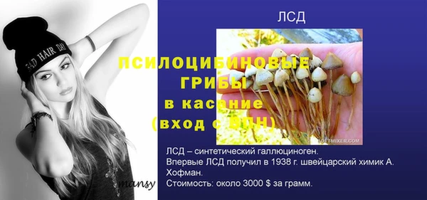 молекула духа Верея