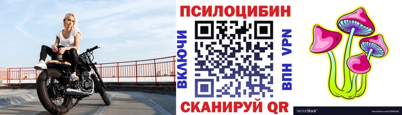 это Telegram  kraken маркетплейс  Кизел  Галлюциногенные грибы Psilocybe 